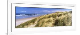 Tall Grass on the Beach, Bamburgh, Northumberland, England-null-Framed Photographic Print