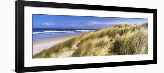 Tall Grass on the Beach, Bamburgh, Northumberland, England-null-Framed Photographic Print