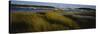 Tall Grass on the Beach, Littleneck Beach, Ipswich, Cape Ann, Massachusetts, USA-null-Stretched Canvas