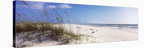 Tall Grass on the Beach, Perdido Key Area, Gulf Islands National Seashore, Pensacola, Florida, USA-null-Stretched Canvas