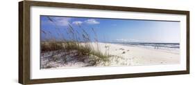 Tall Grass on the Beach, Perdido Key Area, Gulf Islands National Seashore, Pensacola, Florida, USA-null-Framed Photographic Print