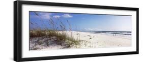 Tall Grass on the Beach, Perdido Key Area, Gulf Islands National Seashore, Pensacola, Florida, USA-null-Framed Photographic Print