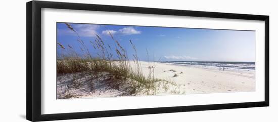 Tall Grass on the Beach, Perdido Key Area, Gulf Islands National Seashore, Pensacola, Florida, USA-null-Framed Photographic Print