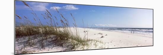 Tall Grass on the Beach, Perdido Key Area, Gulf Islands National Seashore, Pensacola, Florida, USA-null-Mounted Photographic Print