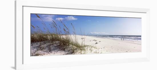 Tall Grass on the Beach, Perdido Key Area, Gulf Islands National Seashore, Pensacola, Florida, USA-null-Framed Photographic Print