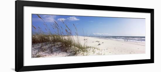 Tall Grass on the Beach, Perdido Key Area, Gulf Islands National Seashore, Pensacola, Florida, USA-null-Framed Photographic Print