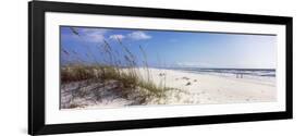 Tall Grass on the Beach, Perdido Key Area, Gulf Islands National Seashore, Pensacola, Florida, USA-null-Framed Photographic Print