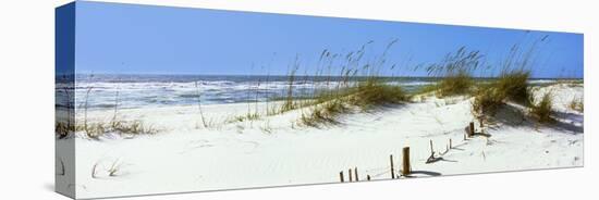 Tall Grass on the Beach, Perdido Key Area, Gulf Islands National Seashore, Pensacola, Florida, USA-null-Stretched Canvas