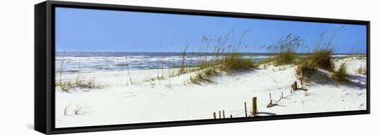 Tall Grass on the Beach, Perdido Key Area, Gulf Islands National Seashore, Pensacola, Florida, USA-null-Framed Stretched Canvas