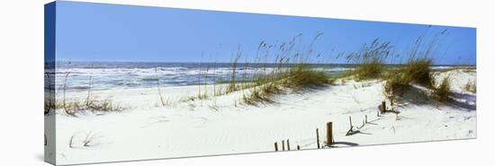 Tall Grass on the Beach, Perdido Key Area, Gulf Islands National Seashore, Pensacola, Florida, USA-null-Stretched Canvas