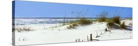 Tall Grass on the Beach, Perdido Key Area, Gulf Islands National Seashore, Pensacola, Florida, USA-null-Stretched Canvas