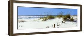 Tall Grass on the Beach, Perdido Key Area, Gulf Islands National Seashore, Pensacola, Florida, USA-null-Framed Premium Photographic Print