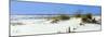 Tall Grass on the Beach, Perdido Key Area, Gulf Islands National Seashore, Pensacola, Florida, USA-null-Mounted Premium Photographic Print