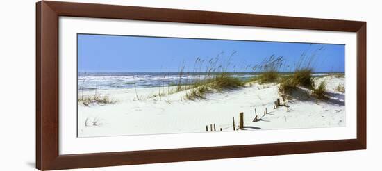 Tall Grass on the Beach, Perdido Key Area, Gulf Islands National Seashore, Pensacola, Florida, USA-null-Framed Photographic Print