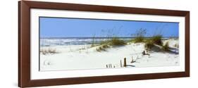 Tall Grass on the Beach, Perdido Key Area, Gulf Islands National Seashore, Pensacola, Florida, USA-null-Framed Photographic Print