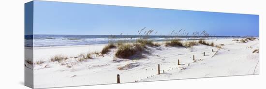 Tall Grass on the Beach, Perdido Key Area, Gulf Islands National Seashore, Pensacola, Florida, USA-null-Stretched Canvas