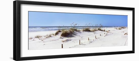 Tall Grass on the Beach, Perdido Key Area, Gulf Islands National Seashore, Pensacola, Florida, USA-null-Framed Photographic Print