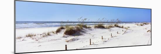 Tall Grass on the Beach, Perdido Key Area, Gulf Islands National Seashore, Pensacola, Florida, USA-null-Mounted Photographic Print