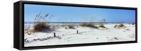 Tall Grass on the Beach, Perdido Key Area, Gulf Islands National Seashore, Pensacola, Florida, USA-null-Framed Stretched Canvas