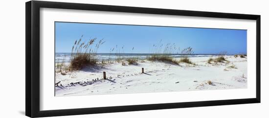 Tall Grass on the Beach, Perdido Key Area, Gulf Islands National Seashore, Pensacola, Florida, USA-null-Framed Photographic Print