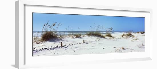 Tall Grass on the Beach, Perdido Key Area, Gulf Islands National Seashore, Pensacola, Florida, USA-null-Framed Photographic Print