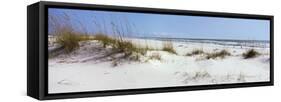 Tall Grass on the Beach, Perdido Key Area, Gulf Islands National Seashore, Pensacola, Florida, USA-null-Framed Stretched Canvas