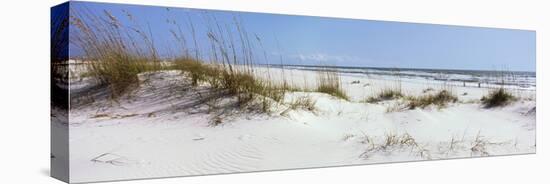 Tall Grass on the Beach, Perdido Key Area, Gulf Islands National Seashore, Pensacola, Florida, USA-null-Stretched Canvas