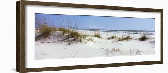 Tall Grass on the Beach, Perdido Key Area, Gulf Islands National Seashore, Pensacola, Florida, USA-null-Framed Photographic Print