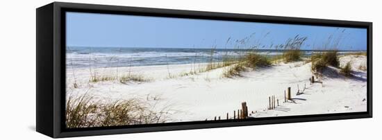 Tall Grass on the Beach, Perdido Key Area, Gulf Islands National Seashore, Pensacola, Florida, USA-null-Framed Stretched Canvas