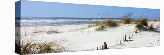 Tall Grass on the Beach, Perdido Key Area, Gulf Islands National Seashore, Pensacola, Florida, USA-null-Stretched Canvas