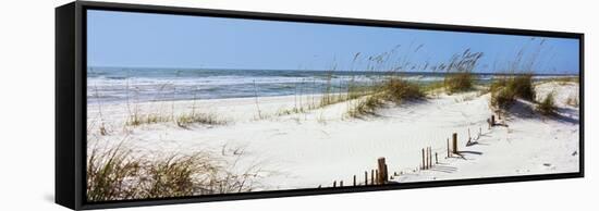 Tall Grass on the Beach, Perdido Key Area, Gulf Islands National Seashore, Pensacola, Florida, USA-null-Framed Stretched Canvas