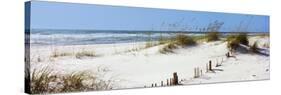 Tall Grass on the Beach, Perdido Key Area, Gulf Islands National Seashore, Pensacola, Florida, USA-null-Stretched Canvas