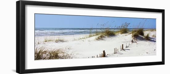 Tall Grass on the Beach, Perdido Key Area, Gulf Islands National Seashore, Pensacola, Florida, USA-null-Framed Premium Photographic Print