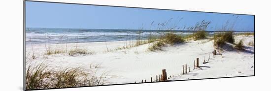Tall Grass on the Beach, Perdido Key Area, Gulf Islands National Seashore, Pensacola, Florida, USA-null-Mounted Photographic Print