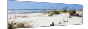 Tall Grass on the Beach, Perdido Key Area, Gulf Islands National Seashore, Pensacola, Florida, USA-null-Mounted Photographic Print