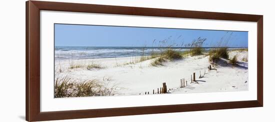 Tall Grass on the Beach, Perdido Key Area, Gulf Islands National Seashore, Pensacola, Florida, USA-null-Framed Photographic Print