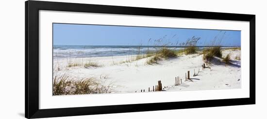 Tall Grass on the Beach, Perdido Key Area, Gulf Islands National Seashore, Pensacola, Florida, USA-null-Framed Photographic Print