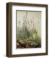 Tall Grass-Albrecht Dürer-Framed Art Print