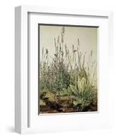 Tall Grass-Albrecht Dürer-Framed Art Print