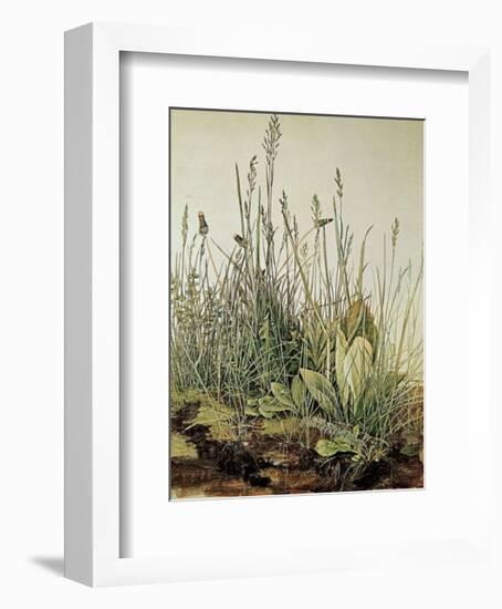 Tall Grass-Albrecht Dürer-Framed Art Print