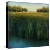 Tall Grass-Jason Jarava-Stretched Canvas