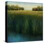 Tall Grass-Jason Jarava-Stretched Canvas