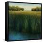 Tall Grass-Jason Jarava-Framed Stretched Canvas