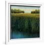 Tall Grass-Jason Jarava-Framed Giclee Print