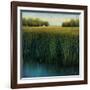 Tall Grass-Jason Jarava-Framed Giclee Print