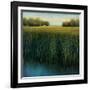 Tall Grass-Jason Jarava-Framed Giclee Print