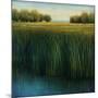 Tall Grass-Jason Jarava-Mounted Giclee Print