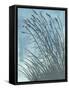 Tall Grasses on Blue I-Elizabeth Medley-Framed Stretched Canvas