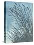 Tall Grasses on Blue I-Elizabeth Medley-Stretched Canvas