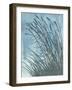 Tall Grasses on Blue I-Elizabeth Medley-Framed Art Print